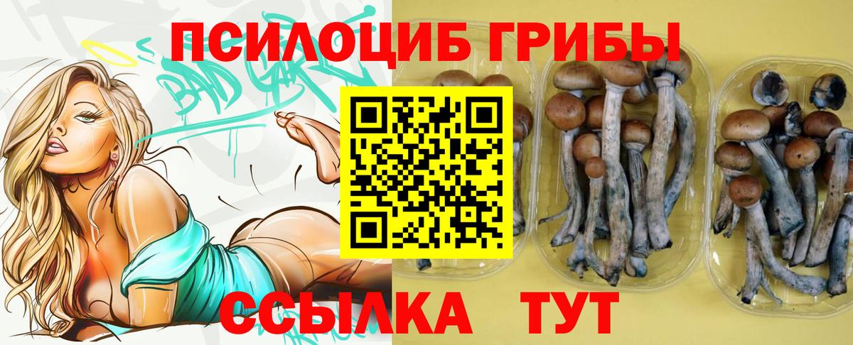Ростов-на-Дону  Псилоцибиновые грибы ЛСД  Галлюциногенные грибы Cubensis  Вход с VPN 